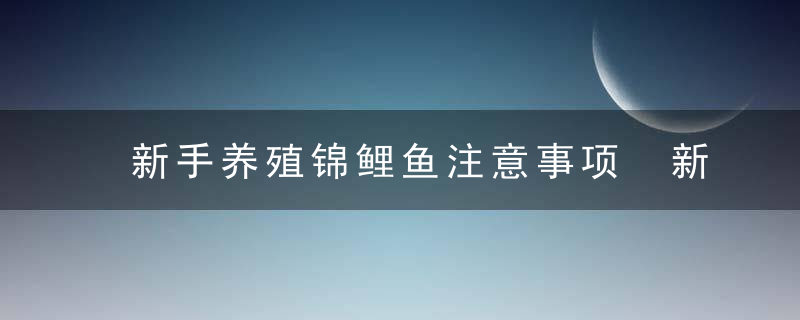 新手养殖锦鲤鱼注意事项 新手养殖锦鲤鱼需要注意些什么